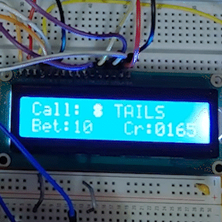heads_tails_gif_2